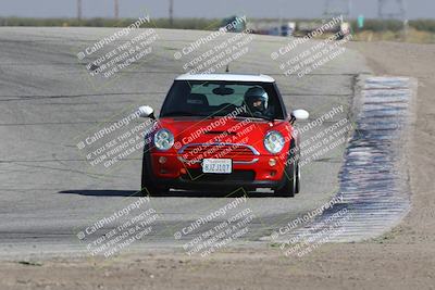 media/Oct-21-2023-Speed Ventures (Sat) [[ddf75163c5]]/Yellow/Grapevine/